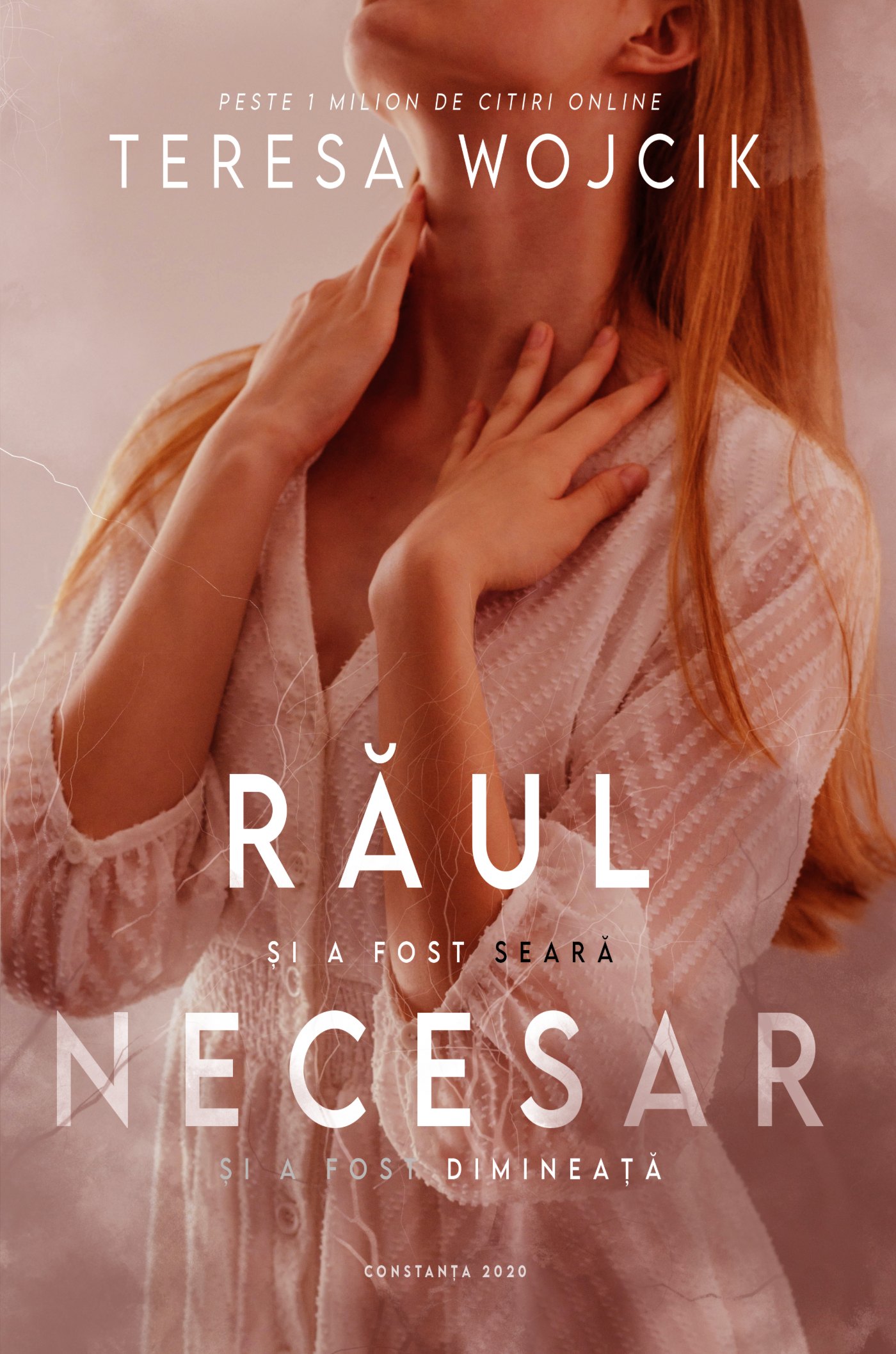 Răul Necesar